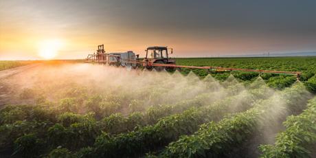 EU: Ban toxic pesticides!