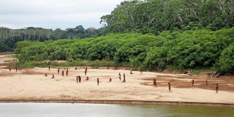 Save the Mashco Piro Tribe!