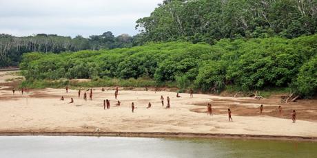 Save the Mashco Piro Tribe!