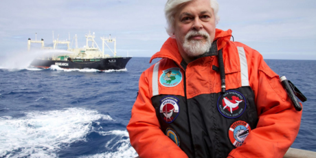 Libérez Paul Watson ✊ 🐋