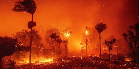 L.A. fires: Make Polluters Pay