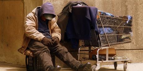 Ne les faites pas mourir de froid!
