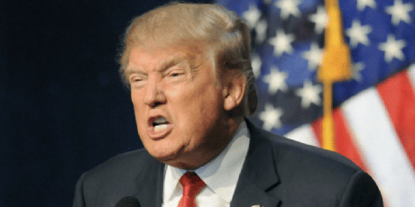 Investigate Trump!