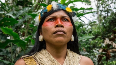 Stop the sale of the Amazon rainforest!