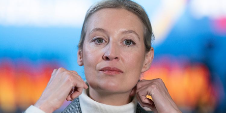 AfD: Kein roter Teppich für Rechtsextremisten!