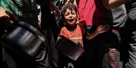 Tell MPs: Show up for people in Gaza!