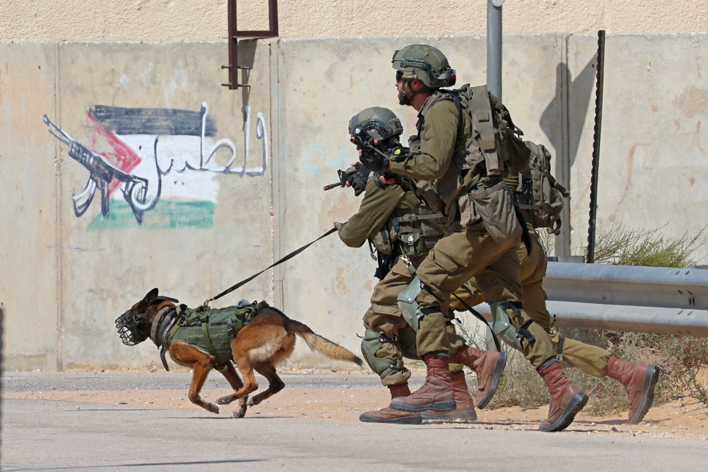 No European attack dogs for Israel!
