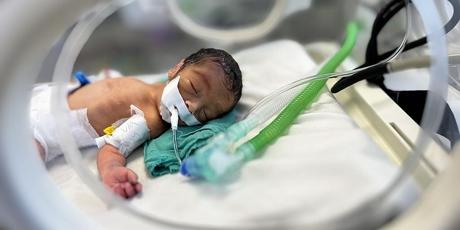 Save Gaza’s Babies