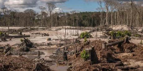 Brazil: Stop the devastation Bill