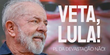 Veta, Lula
