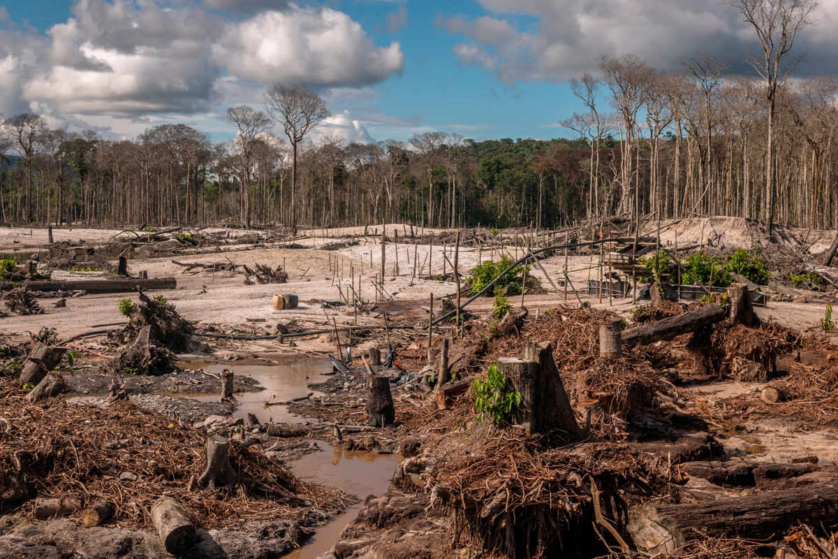  Brazil: Stop the 'devastation bill'