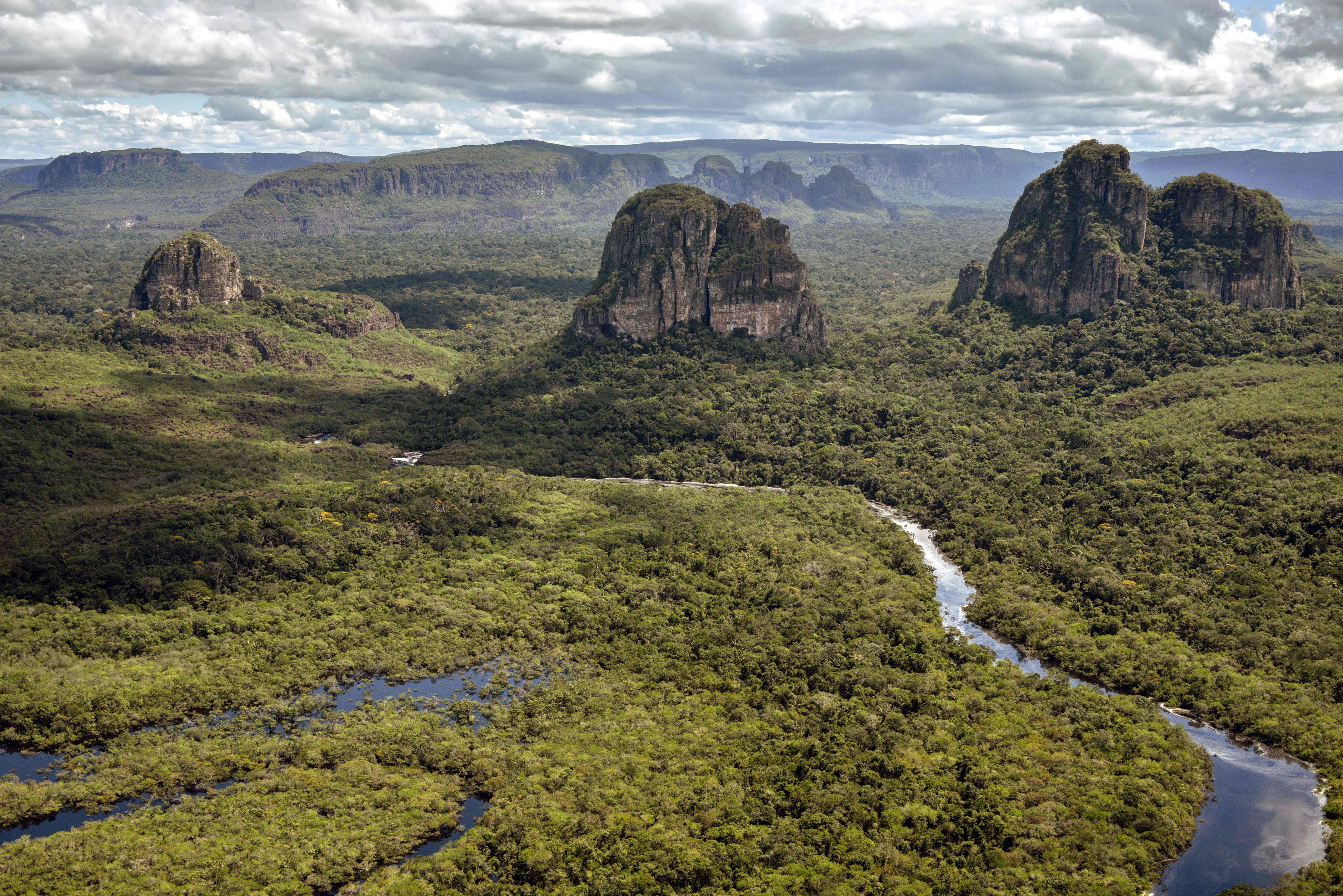 Help Indigenous Peoples Reclaim the Amazon