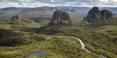 Help Indigenous Peoples Reclaim the Amazon