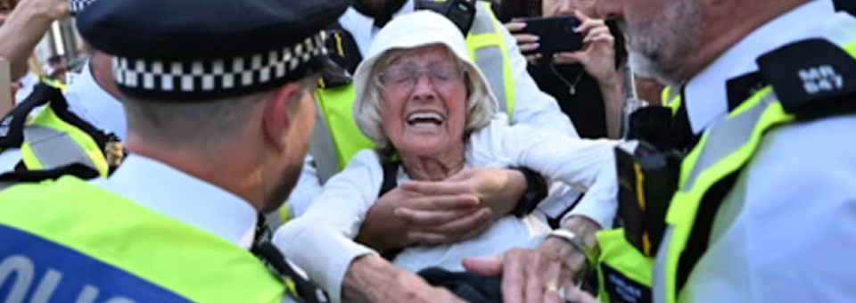 No one should ever be arrested for peaceful protest!  