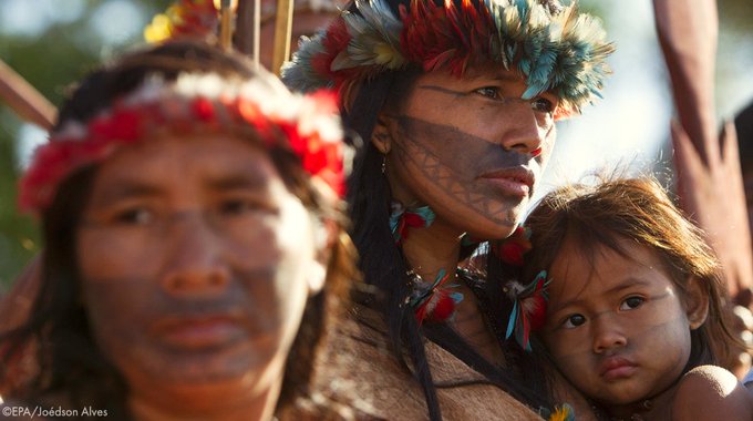 Amazon: help Indigenous Peoples win back their lands!