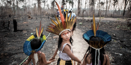 相挺亞馬遜原住民守護傳統領域及雨林！