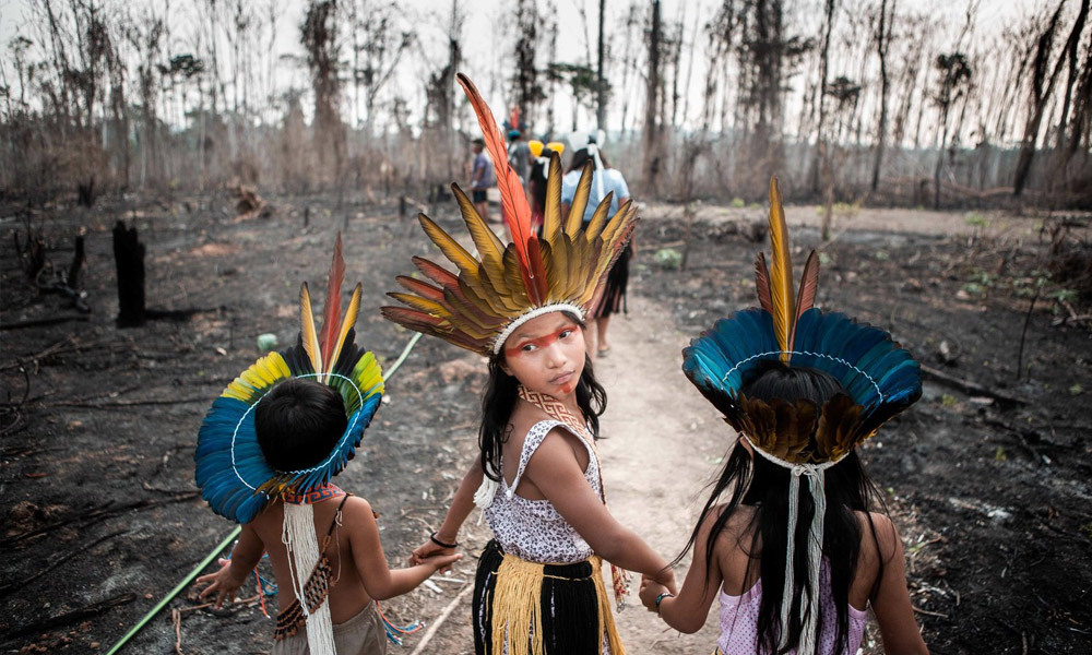 Amazon: help Indigenous Peoples win back their lands!