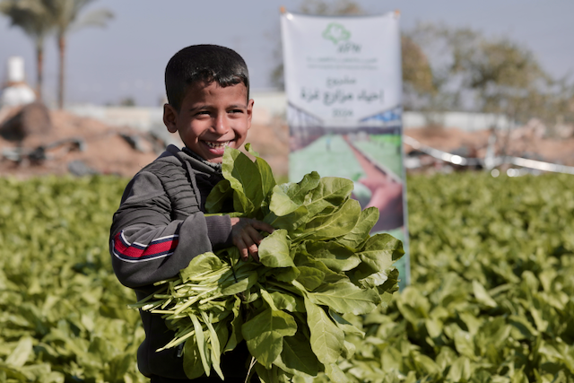 Help build a new future for Palestine