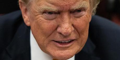 Maak Avaaz Trump-proof