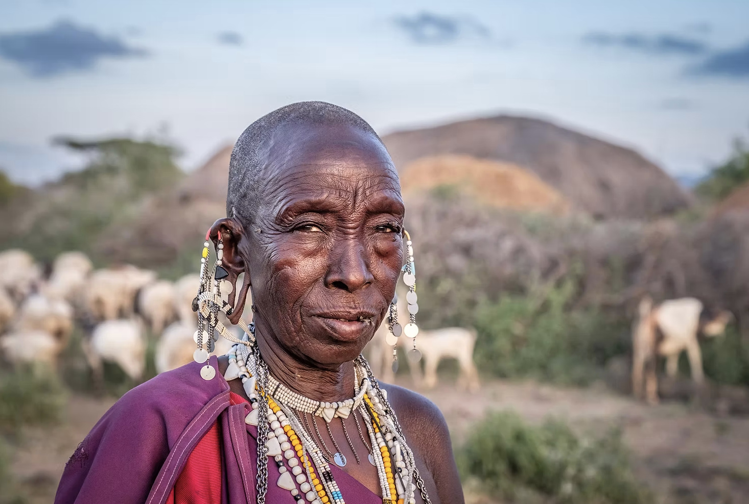 Help stop Maasai mass evictions!