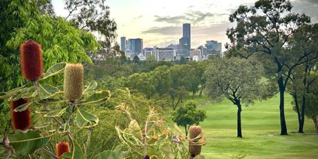 Australia: Save Barrambin (Victoria Park)