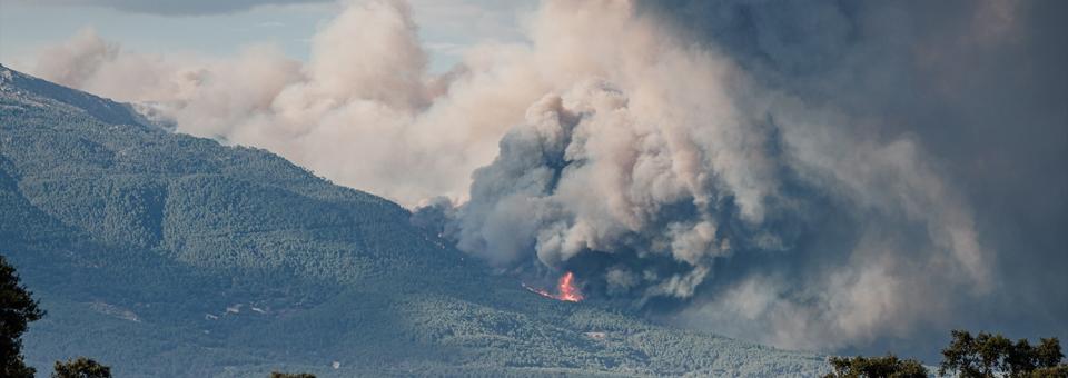 Todos contra el fuego