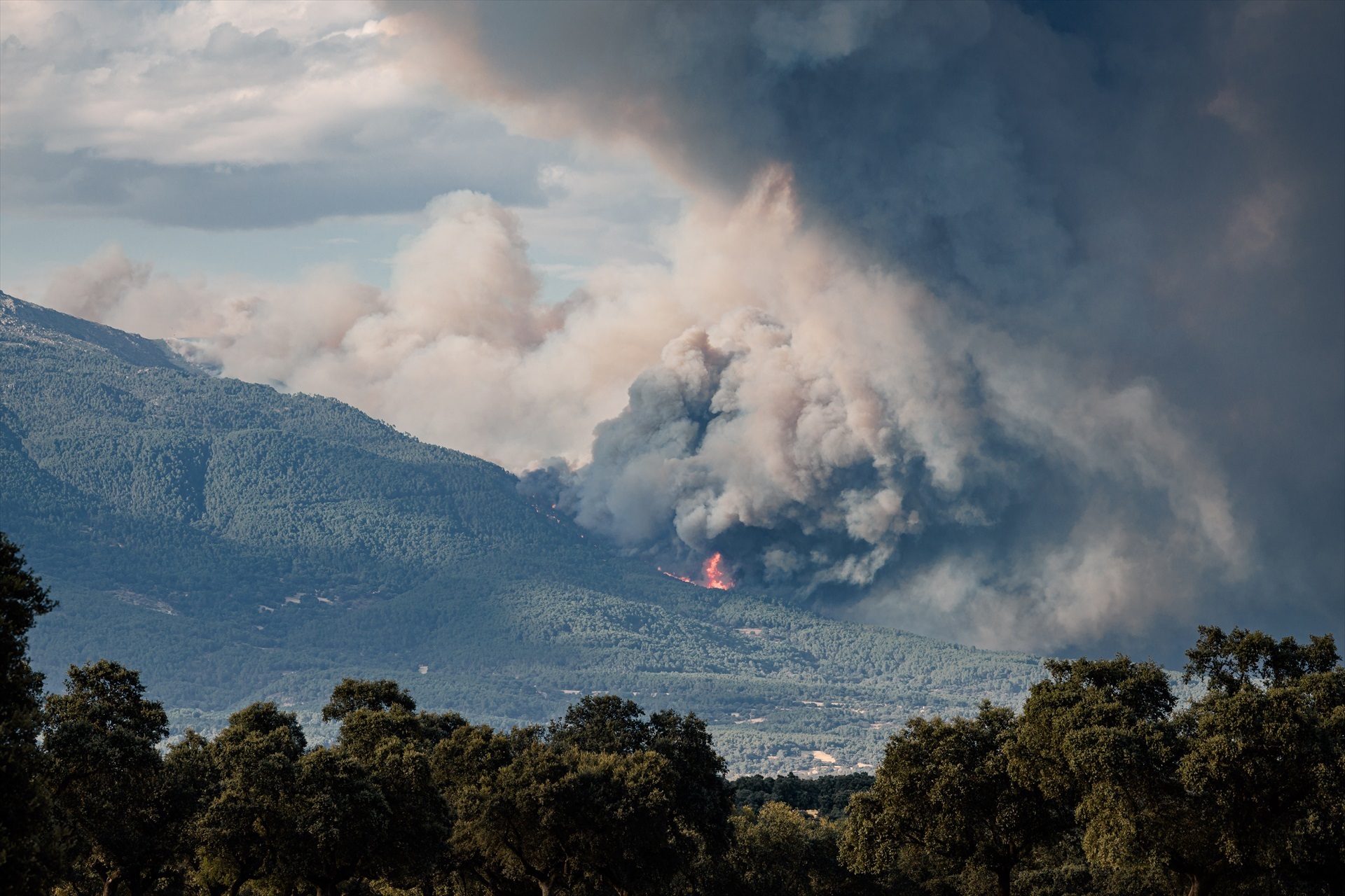 Stop the next wildfire