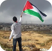 Person holding a Palestinian flag overlooking a city.